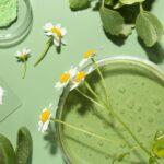Is Your Routine Sustainable? Eco-Friendly Swaps in Your Beauty Bag